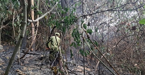Huy động 200 người chữa cháy cho 2.000m2 rừng dưới chân núi Bà Nà
